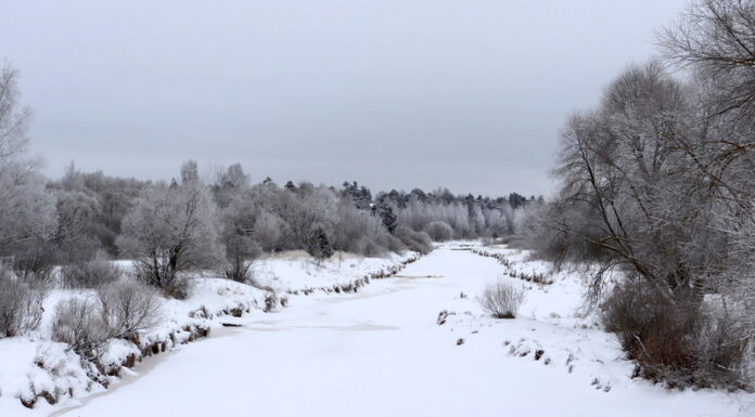 До -19°С похолодает в Рязанской области в ночь на субботу