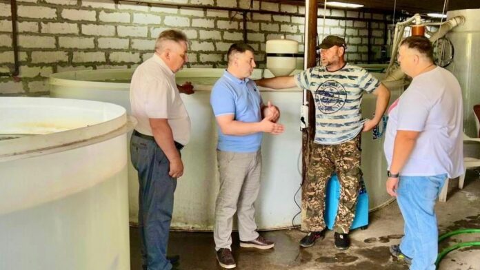 Сараи рыба