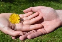 В Сараевском округе в минувшем году было больше браков и меньше разводов