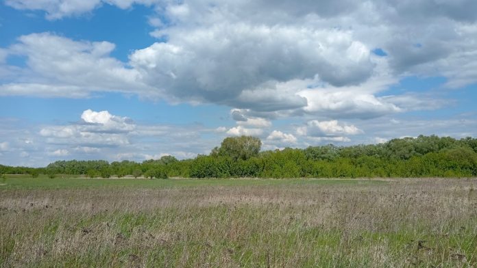 pogoda-maj.-pressa.-11.5.25