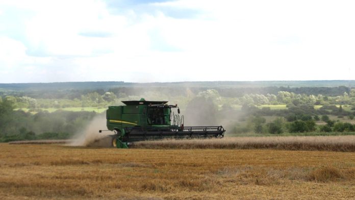 уборка зерновых. Сараи.7.08.25