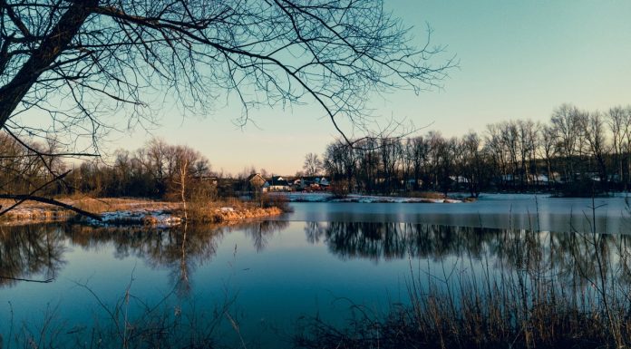 17 ноября в Рязанской области потеплеет