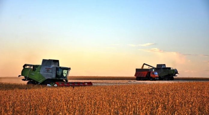 Губернатор Павел Малков: Наши аграрии собрали более трёх миллионов тонн зерна и близки к повторению рекорда 2022 года