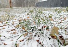 Прогноз погоды на понедельник от синоптиков Рязанского ЦГМС