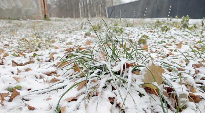 Прогноз погоды на понедельник от синоптиков Рязанского ЦГМС