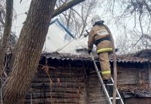 В Сараевском районе на пожаре погибла женщина