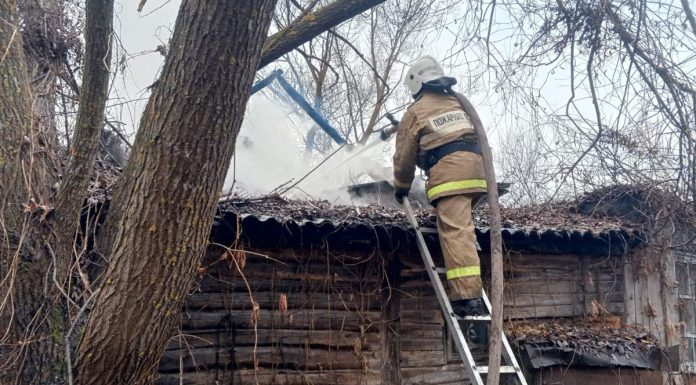 В Сараевском районе на пожаре погибла женщина