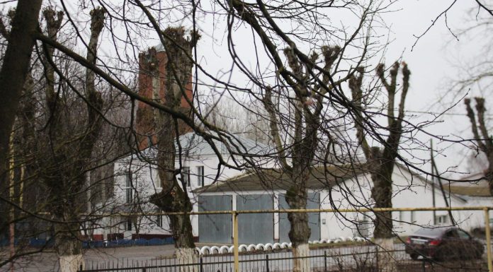 В Сараях зафиксировали новый температурный рекорд за последние 10 лет