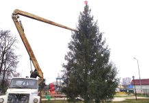 Житель Сараев подарил поселку пятнадцатиметровую новогоднюю ель