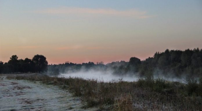 Туман и гололедицу обещают синоптики рязанцам в понедельник