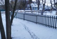 В Сараях высота снежного покрова достигает шести сантиметров