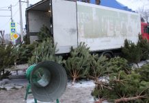 В Сараях открылся первый елочный базар