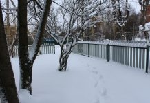 Высота снежного покрова в Сараях местами более 40 сантиметров