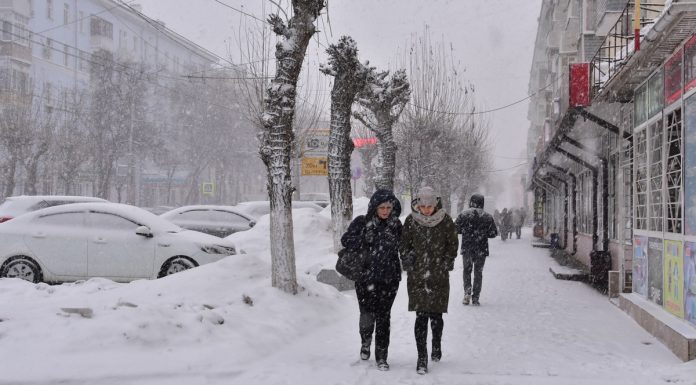 Днем 16 февраля в Рязанской области пройдет сильный снег