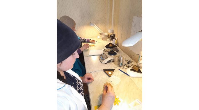 Сараевские специалисты Россельхозцентра проверяют семена к посевной