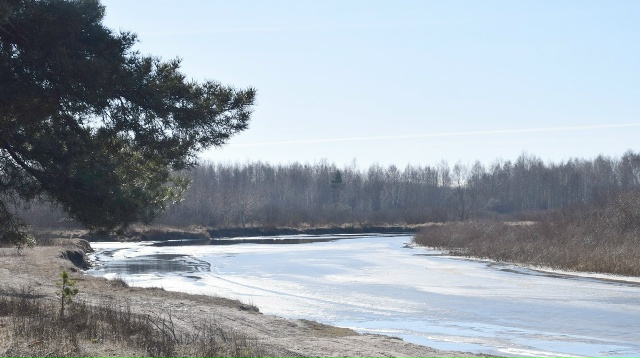 10 марта в Рязанском области потеплеет до +6°С