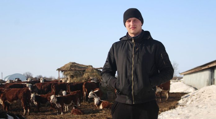 Алексей Скуратов из Сараевского округа получил грант на развитие животноводства