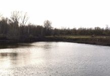 Сараевское охотхозяйство планирует выдать 200 путевок на весеннюю охоту на птицу