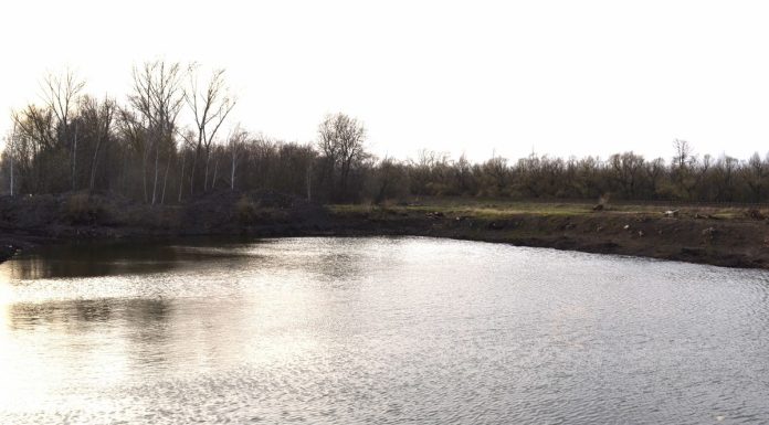 Сараевское охотхозяйство планирует выдать 200 путевок на весеннюю охоту на птицу