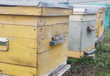 Вниманию пчеловодов! Около Высоковского и Борецкого сельских поселений запланирована обработка посевов