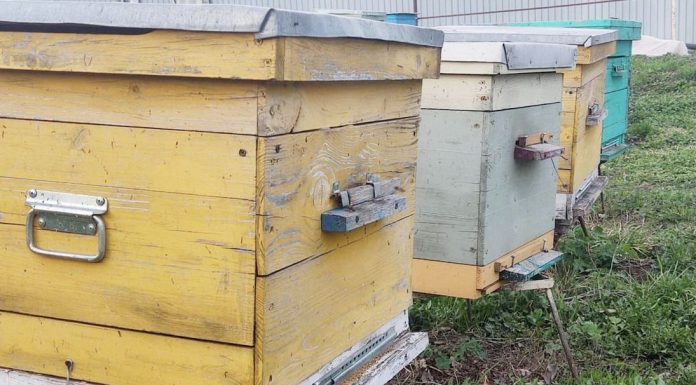 Вниманию пчеловодов! Около Высоковского и Борецкого сельских поселений запланирована обработка посевов