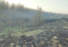 Сараевские пожарные тушили мусор недалеко от леса и жилых домов