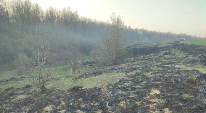 Сараевские пожарные тушили мусор недалеко от леса и жилых домов