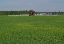 Аграрии Сараевского округа выполнили план сева на 95%