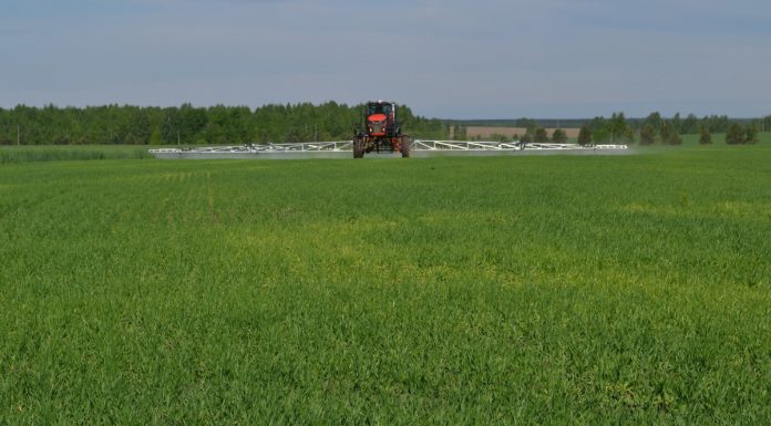 Аграрии Сараевского округа выполнили план сева на 95%