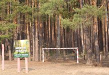 В Сараевском округе установлен четвертый класс пожарной опасности