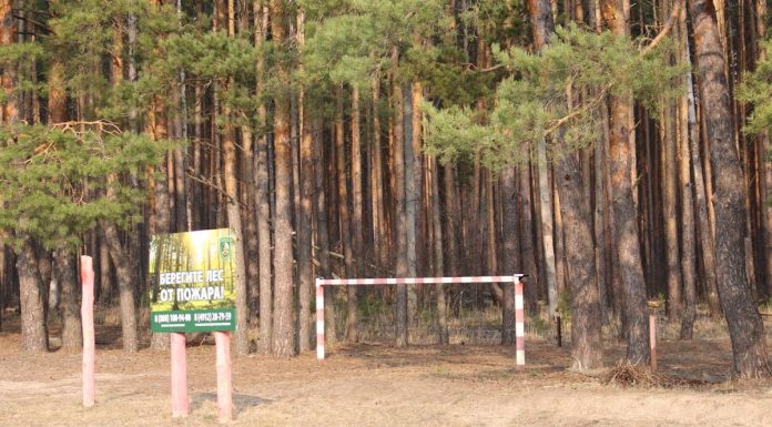В Сараевском округе установлен четвертый класс пожарной опасности