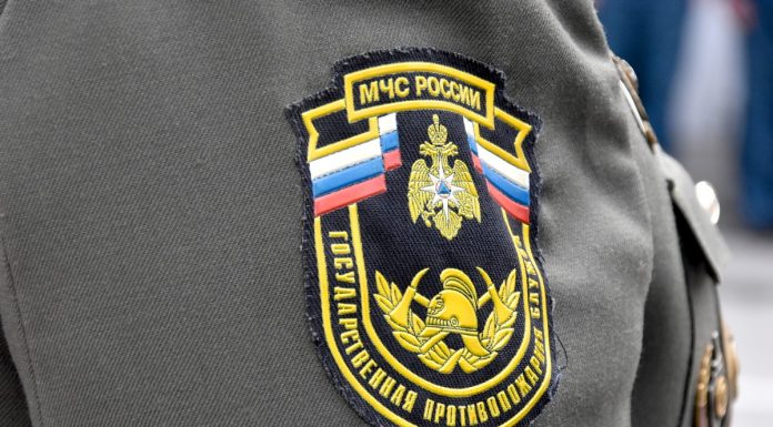 МЧС напоминает о правилах при сжигании мусора
